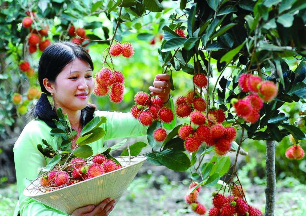 du lịch cần thơ