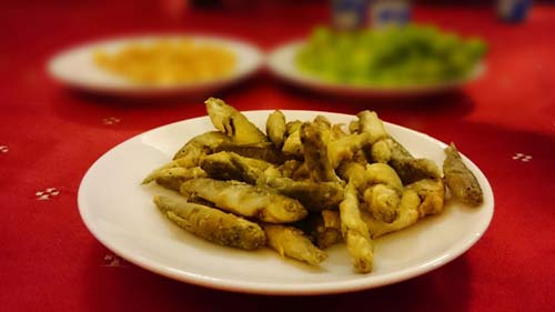du lịch cần thơ