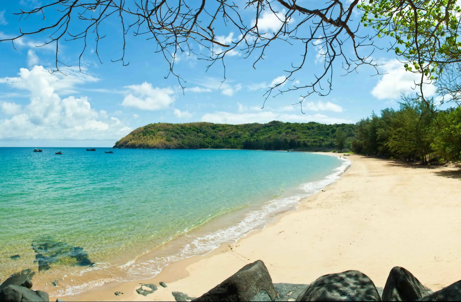 ve may bay di con dao gia re